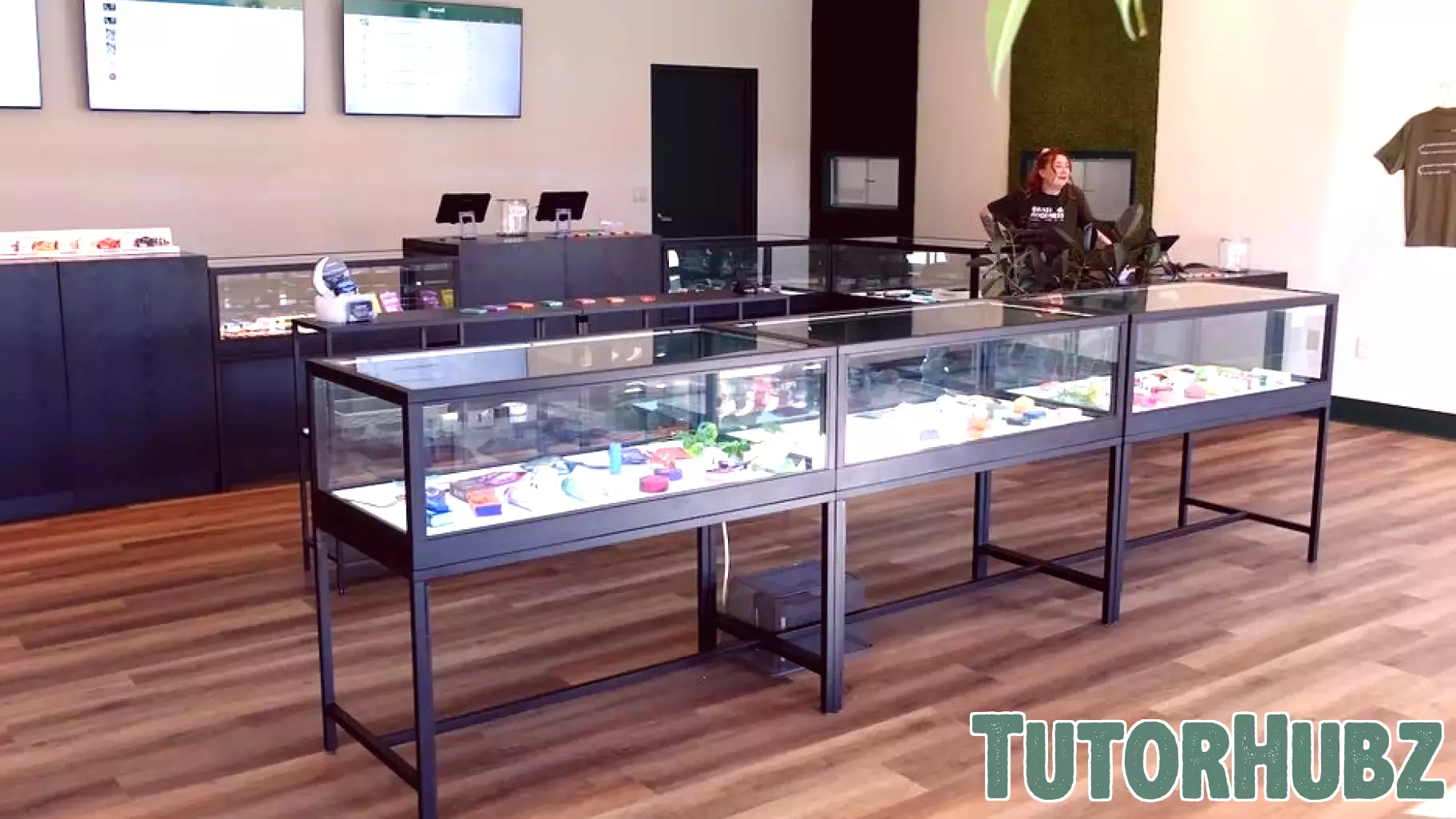 New Cannabis Dispensary Celebrates Grand Opening in Schenectady